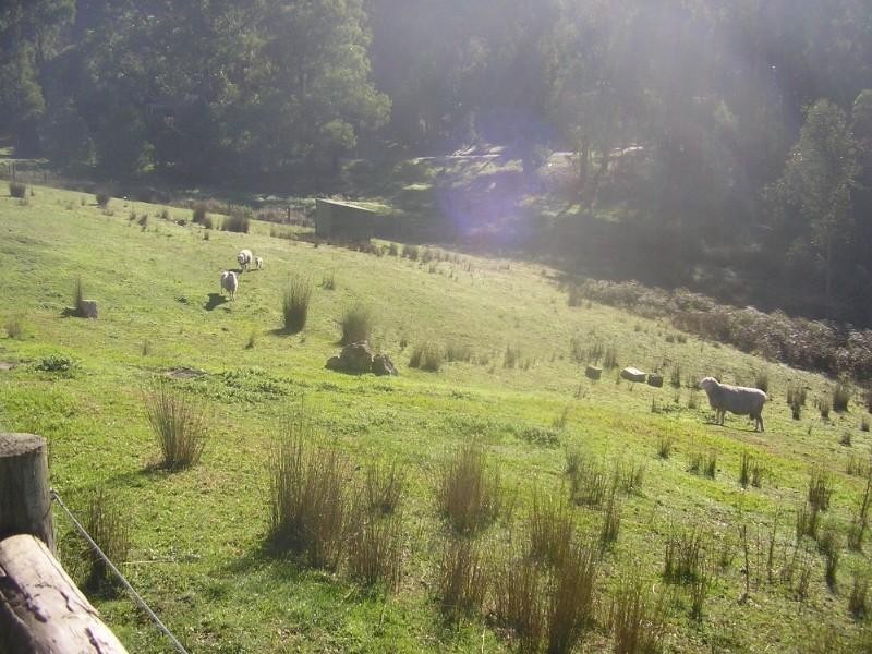 Healesville VIC 3777