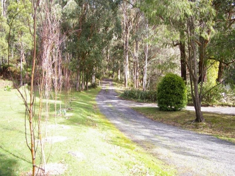 Healesville VIC 3777