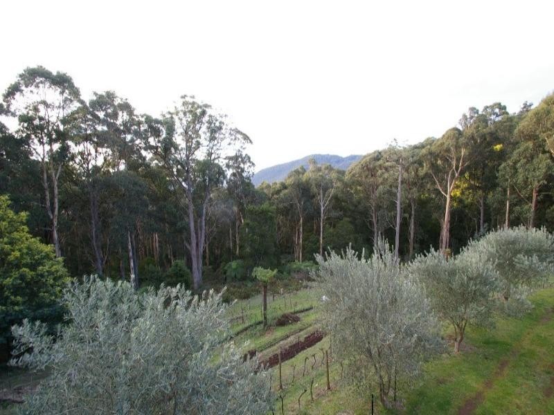 Healesville VIC 3777