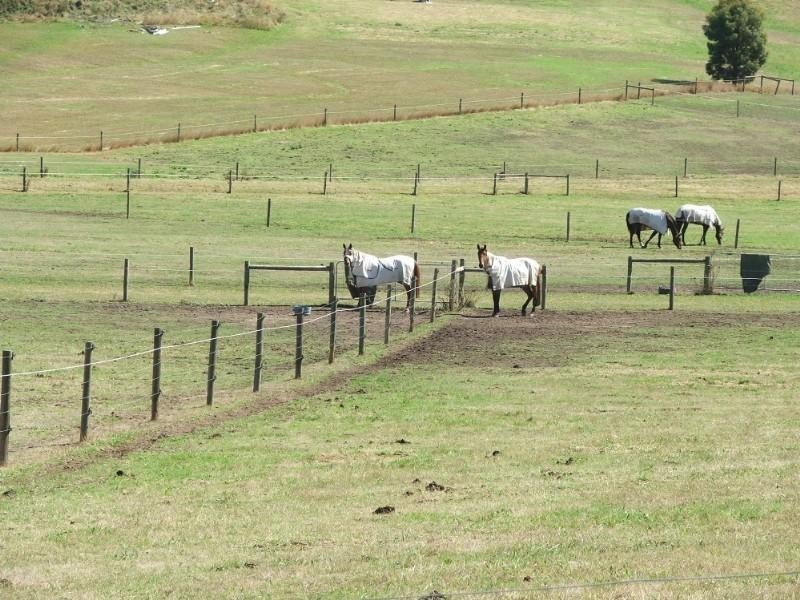 Healesville VIC 3777