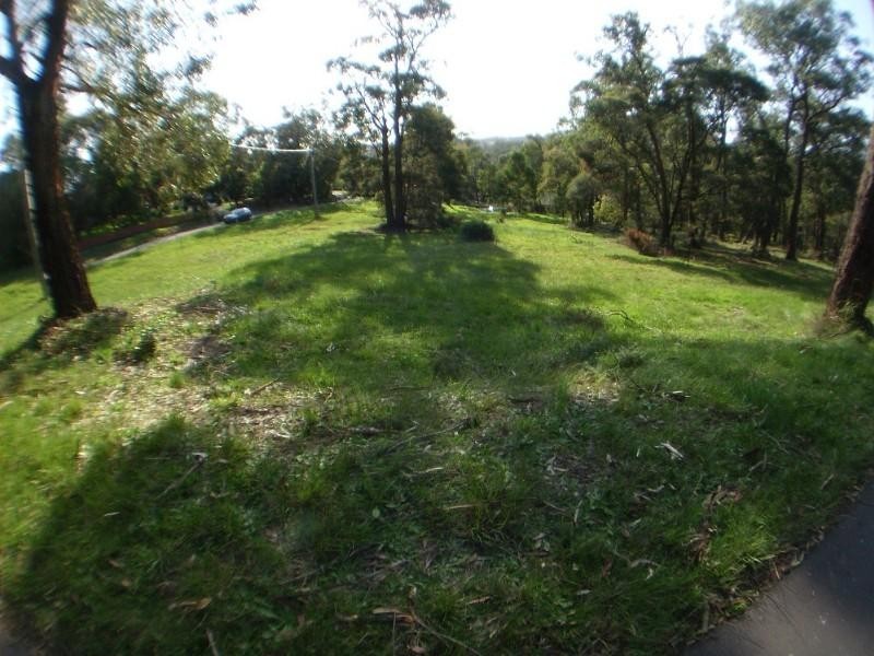 Healesville VIC 3777