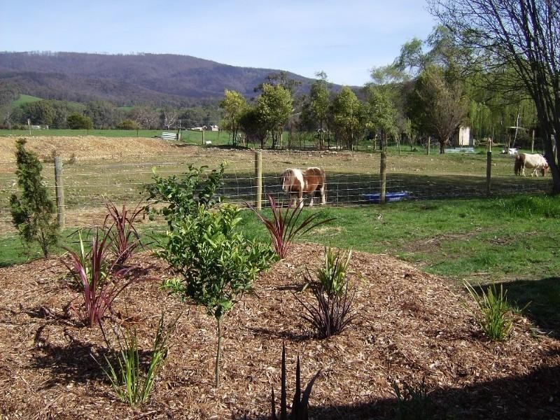 Buxton VIC 3711