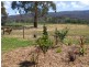 Buxton VIC 3711