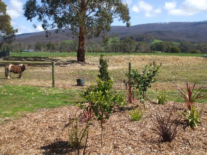 Buxton VIC 3711