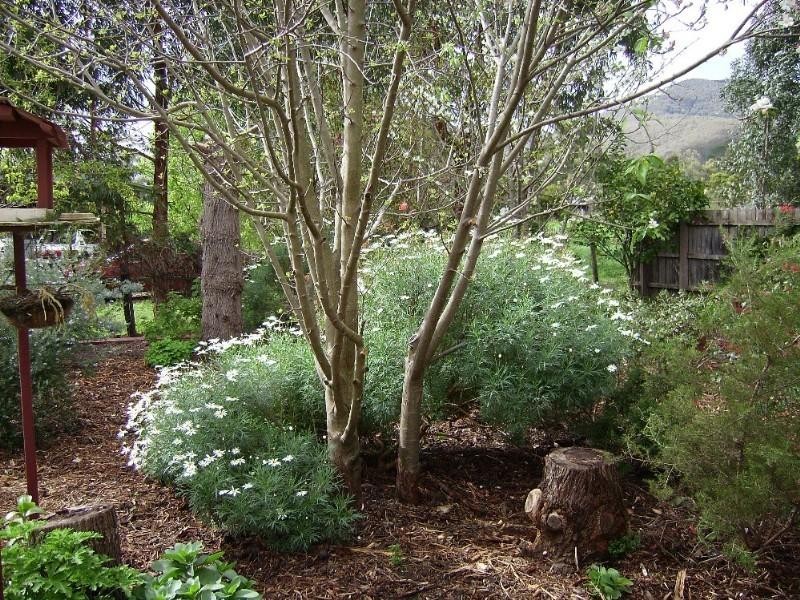 Healesville VIC 3777