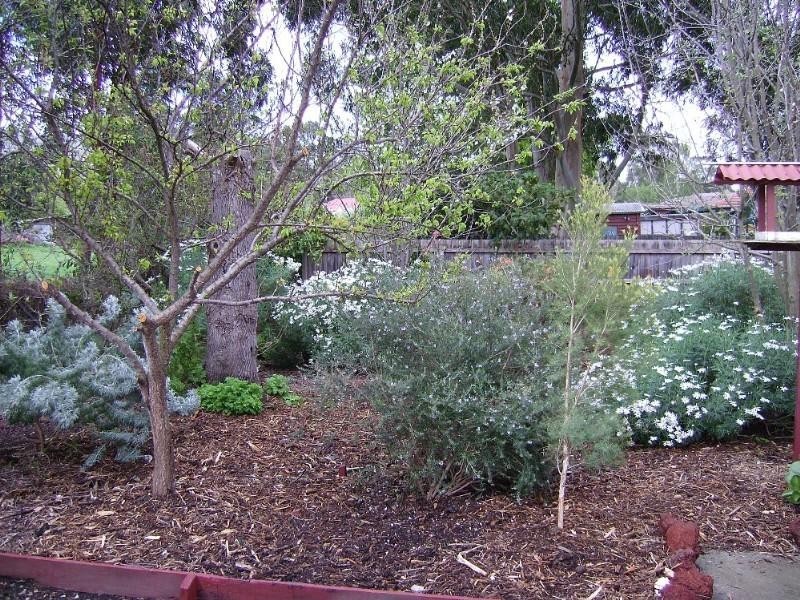 Healesville VIC 3777