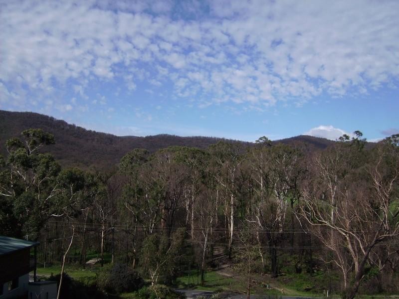 Healesville VIC 3777