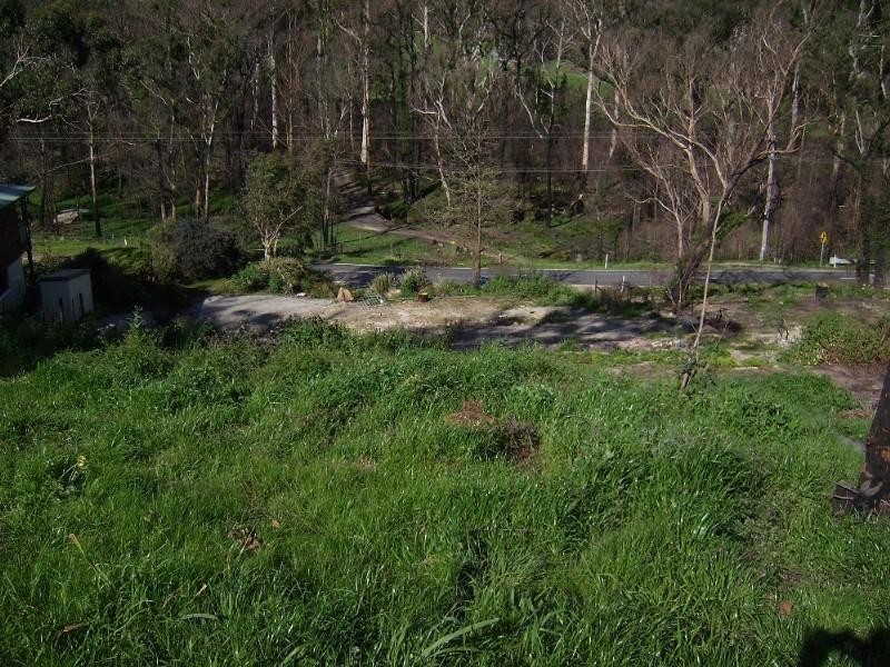 Healesville VIC 3777