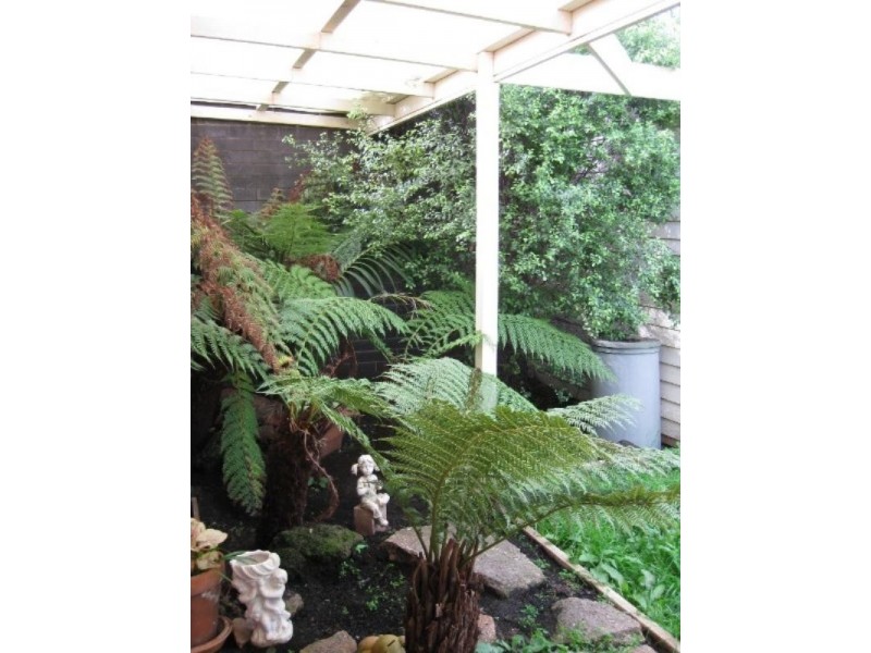 Healesville VIC 3777