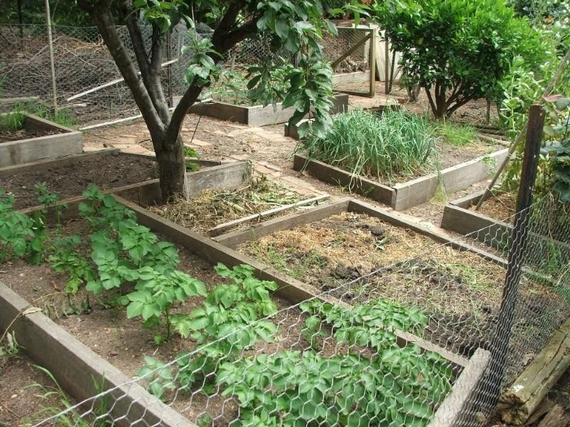 Healesville VIC 3777