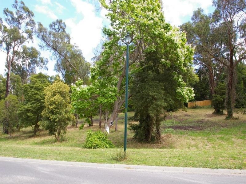 Healesville VIC 3777