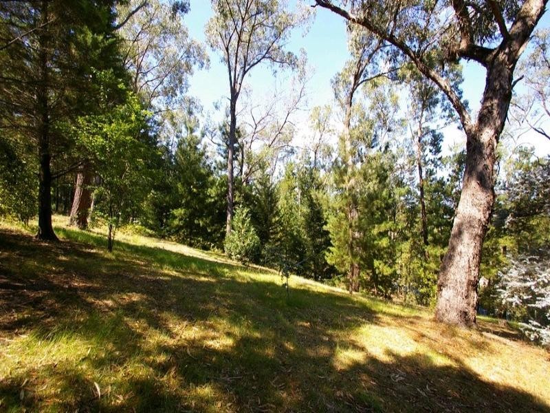 Healesville VIC 3777