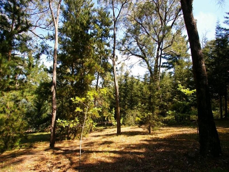 Healesville VIC 3777