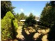 Healesville VIC 3777