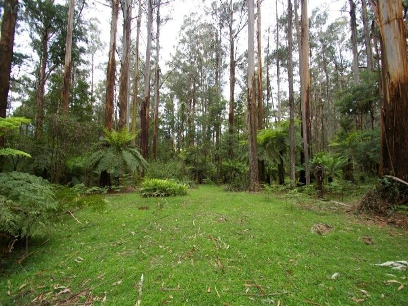 Toolangi VIC 3777