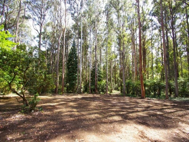 Toolangi VIC 3777