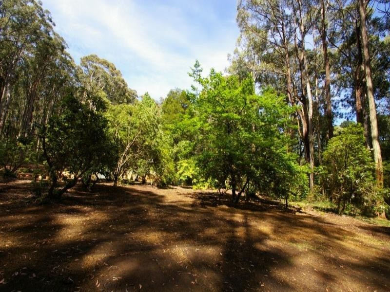 Toolangi VIC 3777