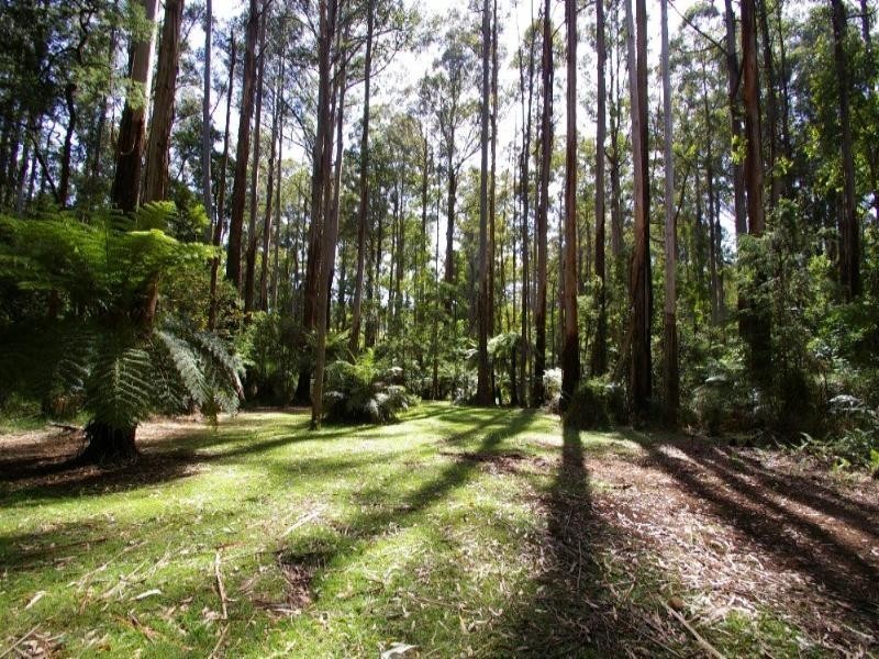 Toolangi VIC 3777