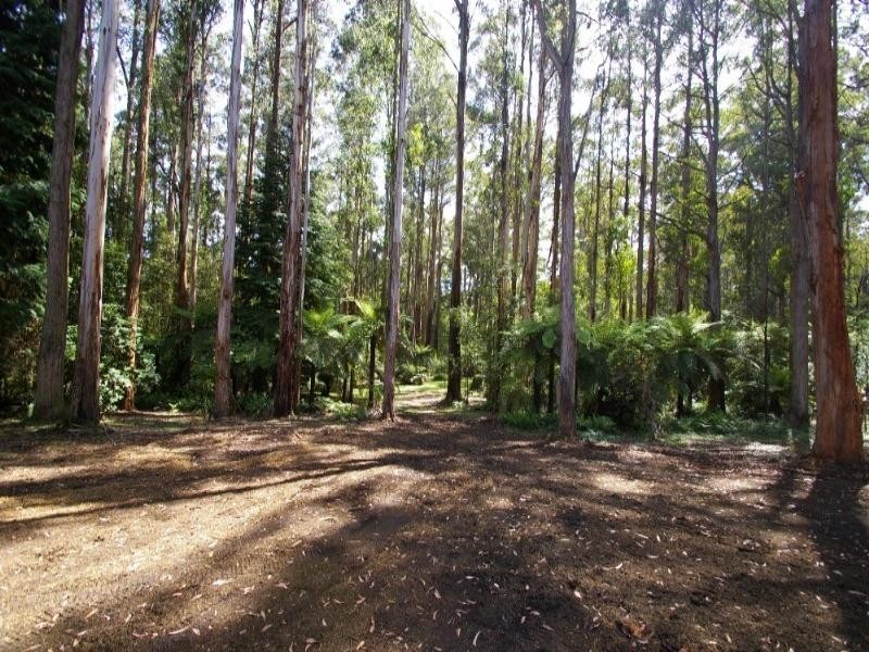 Toolangi VIC 3777