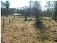 Narbethong VIC 3778