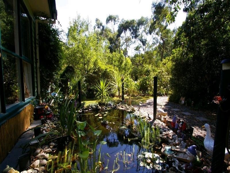 Healesville VIC 3777