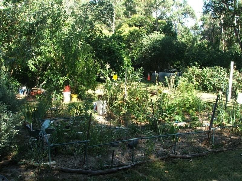 Healesville VIC 3777