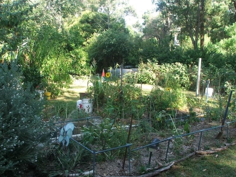 Healesville VIC 3777