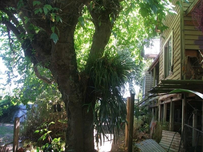 Healesville VIC 3777