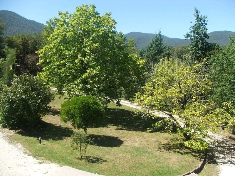 Healesville VIC 3777