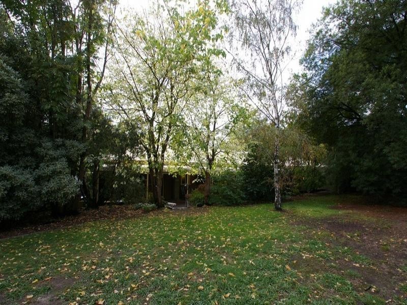 Healesville VIC 3777