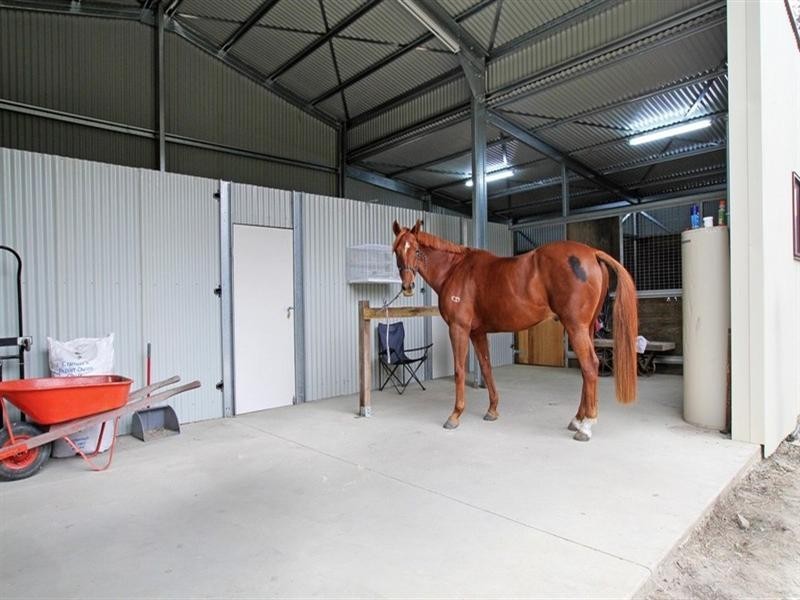 Healesville VIC 3777