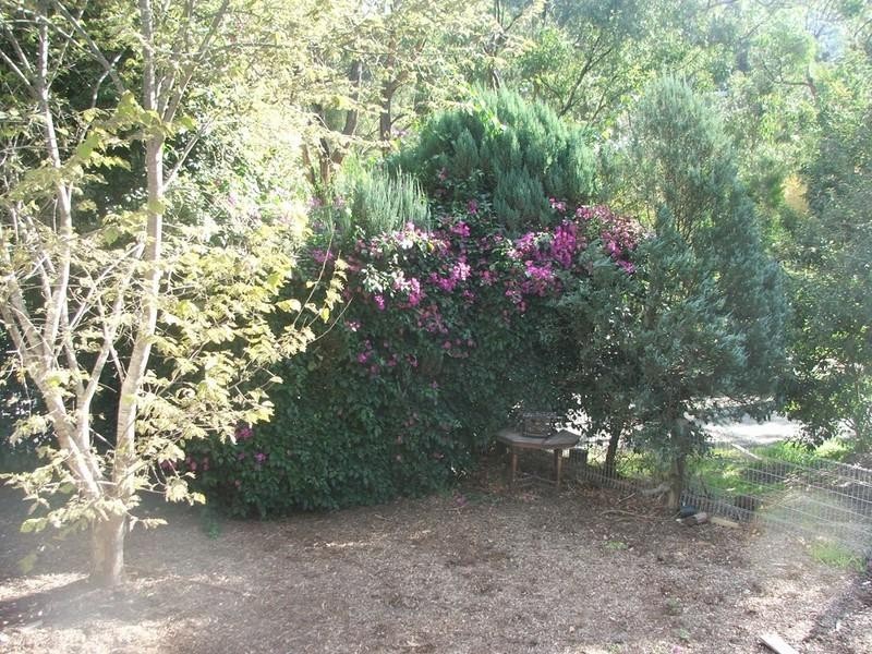 Healesville VIC 3777