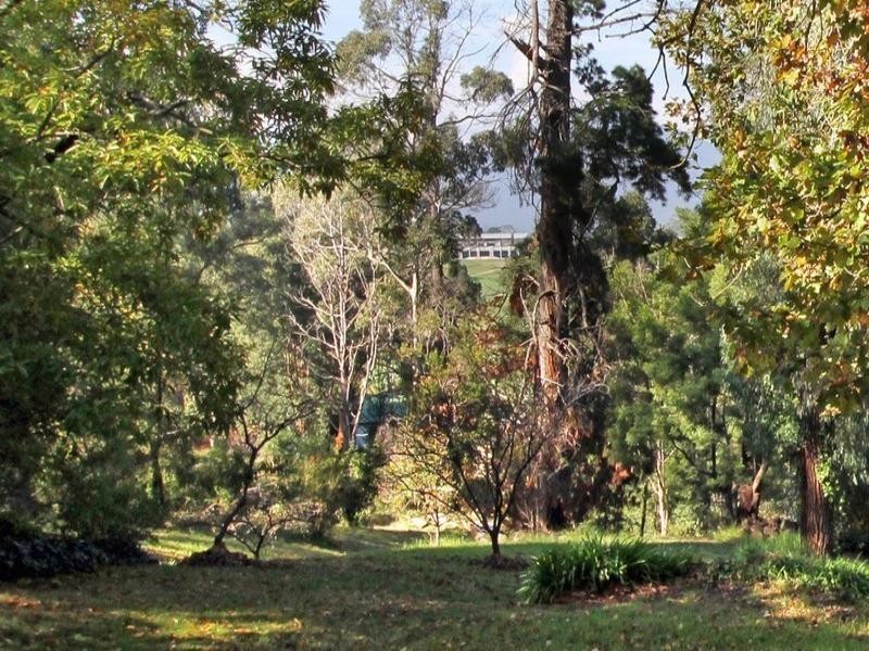 4 Healesville-Yarra Glen Road, Healesville VIC 3777