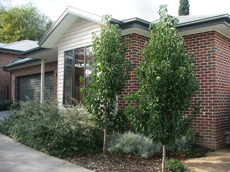 Healesville VIC 3777