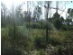 Narbethong VIC 3778