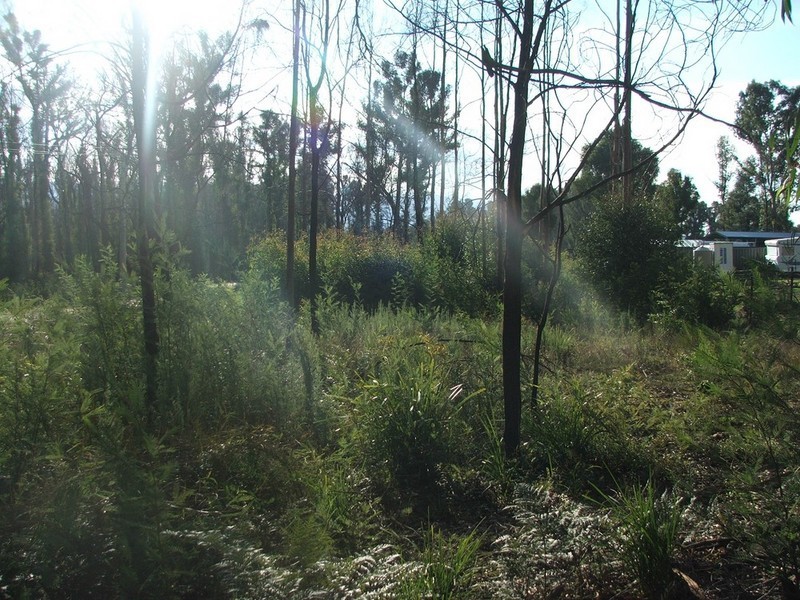 Narbethong VIC 3778