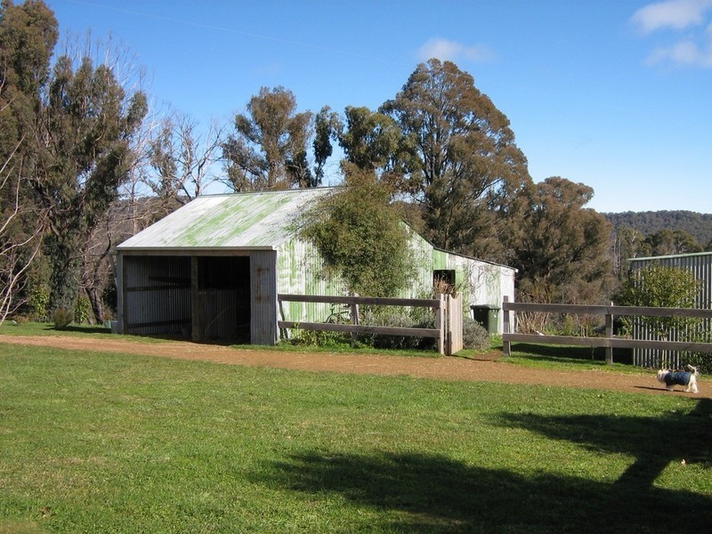 Mansfield VIC 3722
