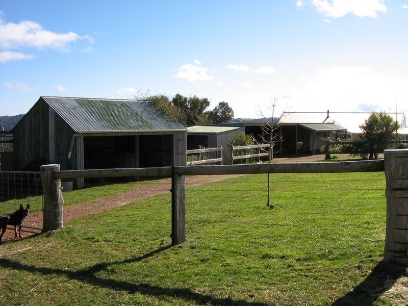 Mansfield VIC 3722