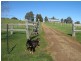 Mansfield VIC 3722