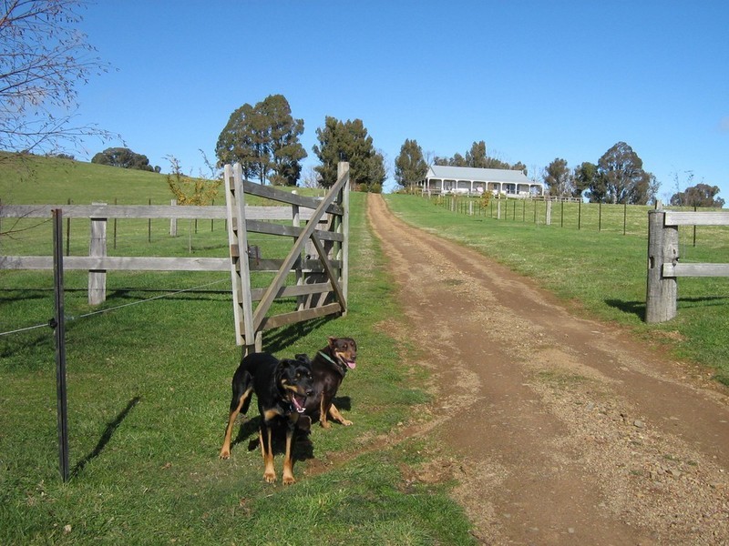 Mansfield VIC 3722
