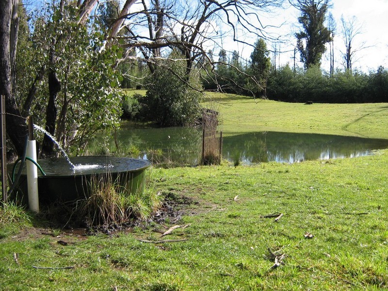 Mansfield VIC 3722