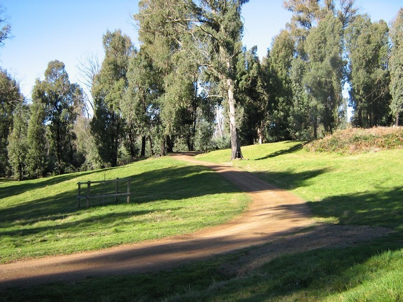 Mansfield VIC 3722