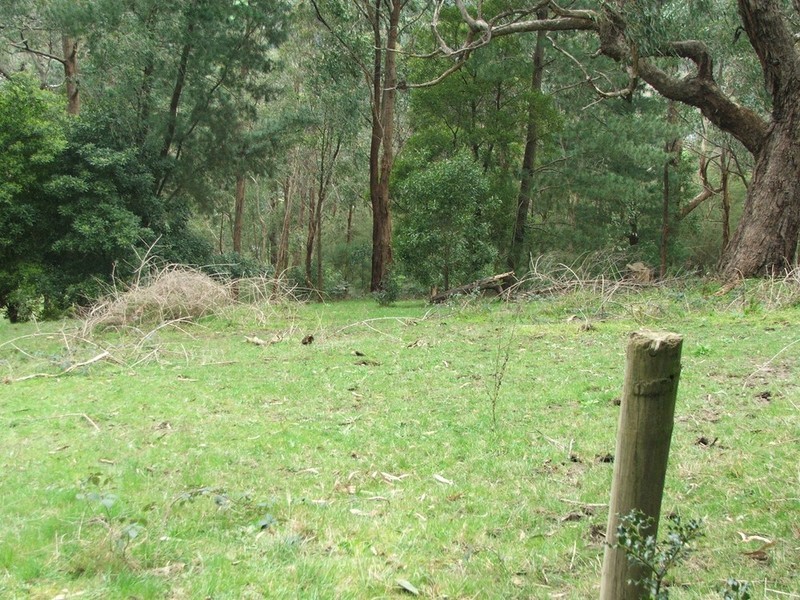 Healesville VIC 3777