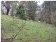 Healesville VIC 3777