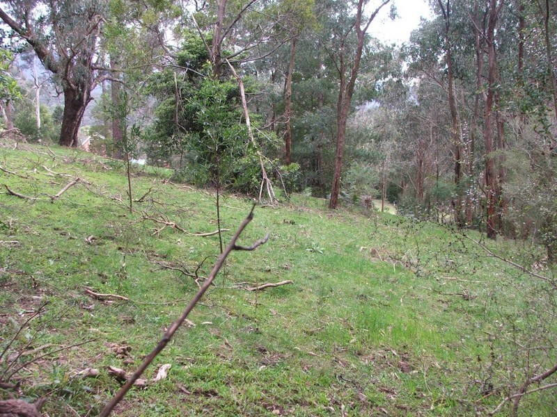 Healesville VIC 3777