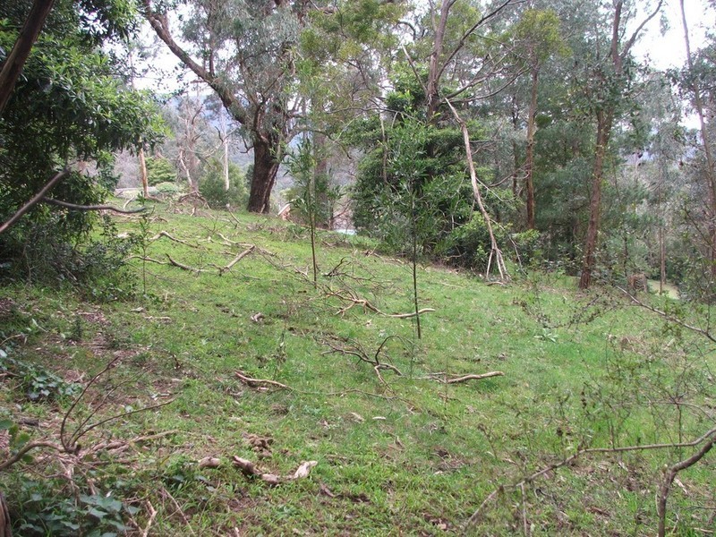 Healesville VIC 3777