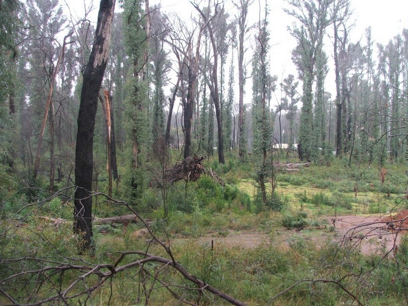 515 Marysville Road, Narbethong VIC 3778