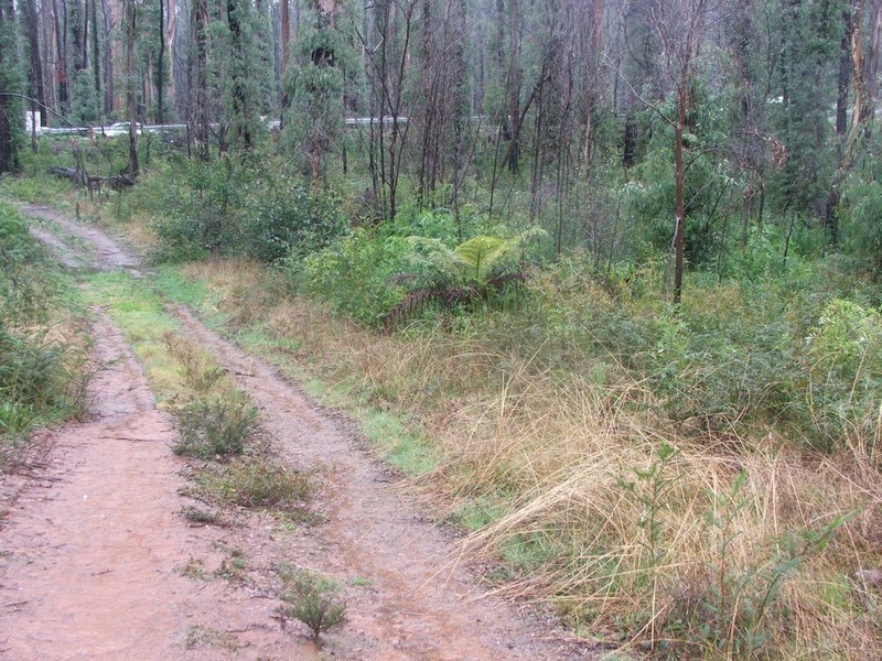 515 Marysville Road, Narbethong VIC 3778