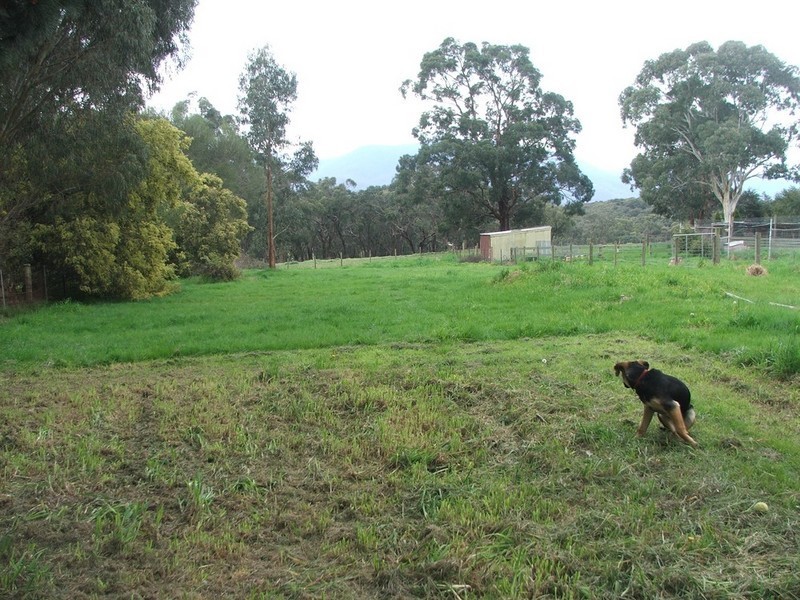 Healesville VIC 3777