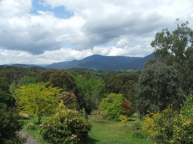 Healesville VIC 3777
